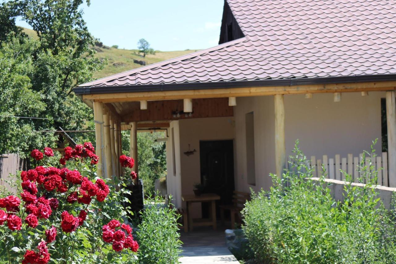 Villa Shamakhyan Dilijan Exterior foto
