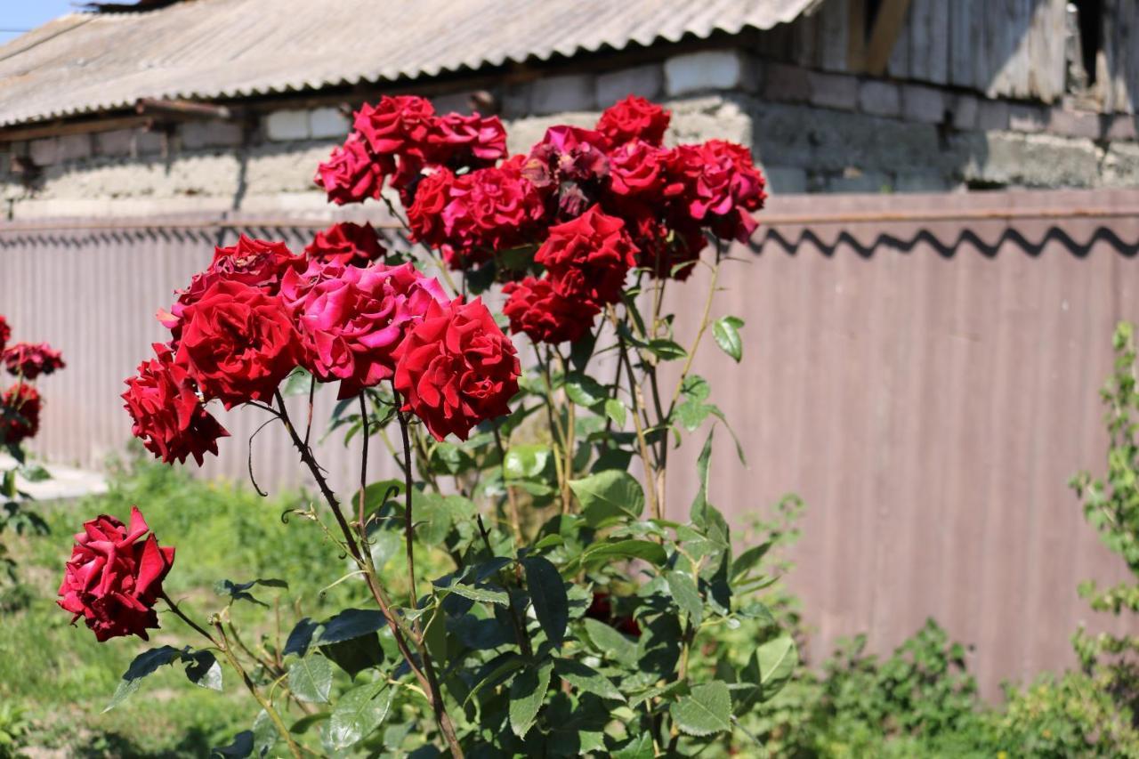 Villa Shamakhyan Dilijan Exterior foto