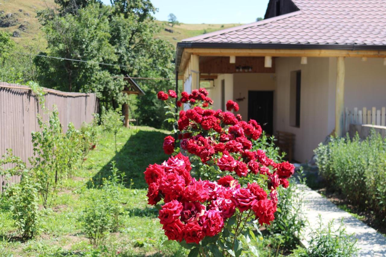 Villa Shamakhyan Dilijan Exterior foto