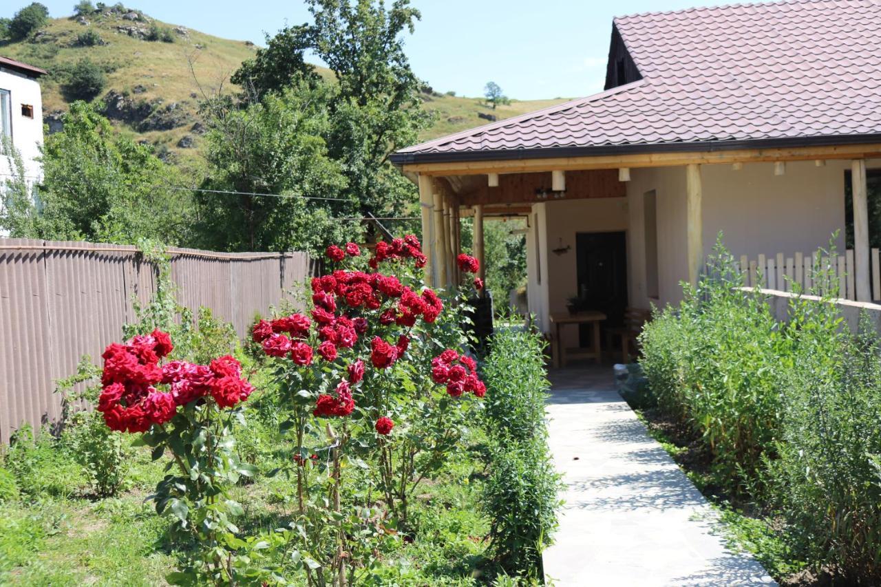 Villa Shamakhyan Dilijan Exterior foto